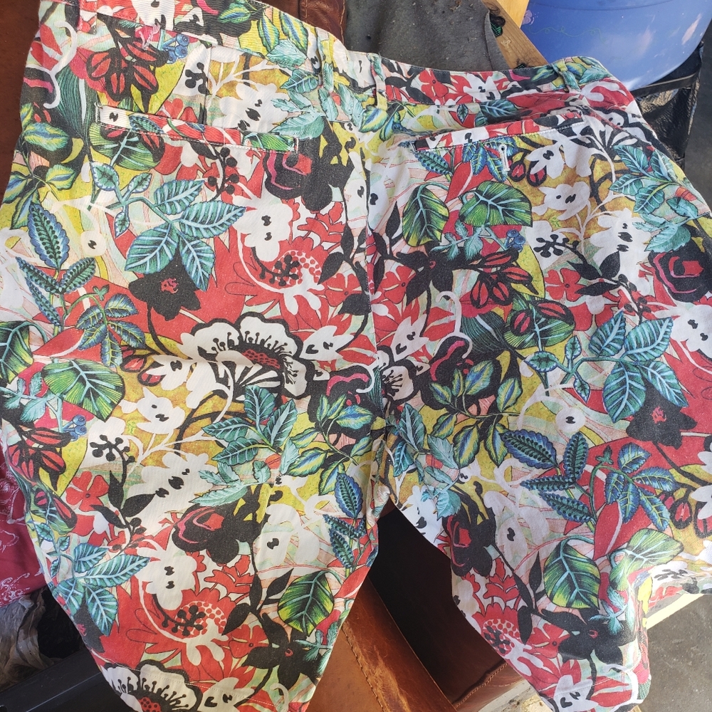 Shorts - Picture 3 of 3